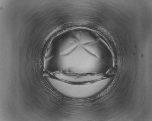 X0000081451210200702021734