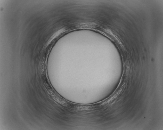 X0000081451211200702021734