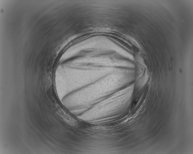 X0000081451212200702021734