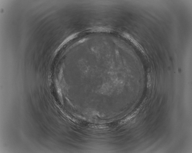 X0000081451213200702021734