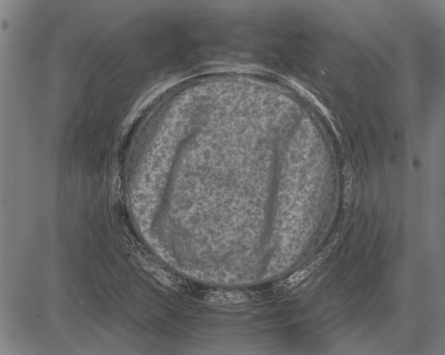 X0000081451215200702021734