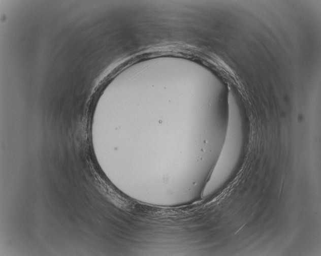 X0000081451216200702021734