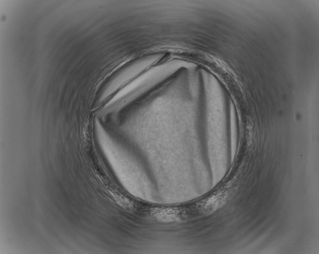 X0000081451217200702021734