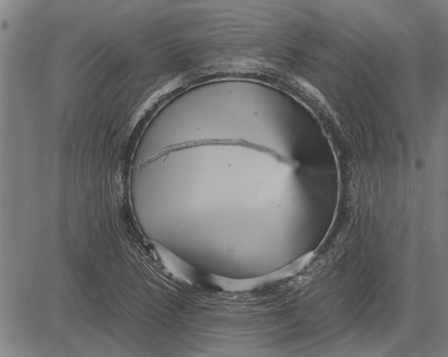 X0000081451218200702021734