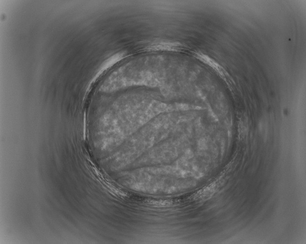 X0000081451219200702021734