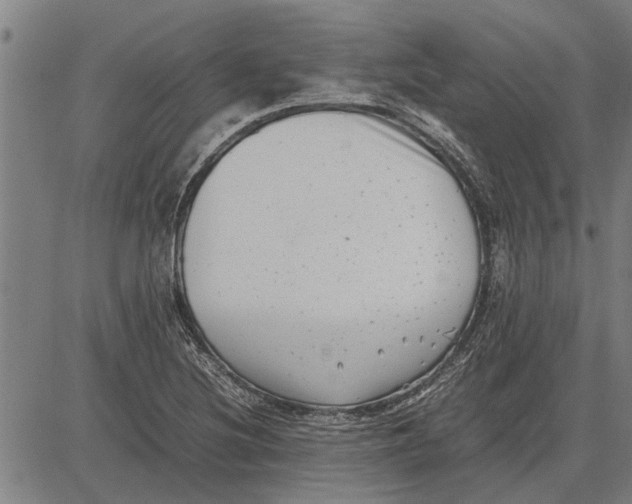 X0000081451220200702021734