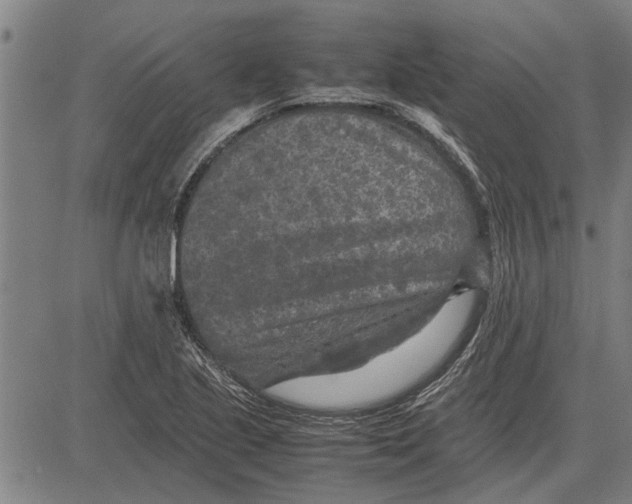 X0000081451221200702021734