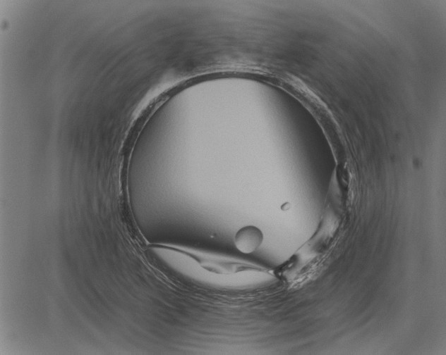 X0000081451222200702021734