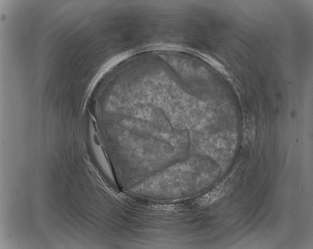 X0000081451223200702021734