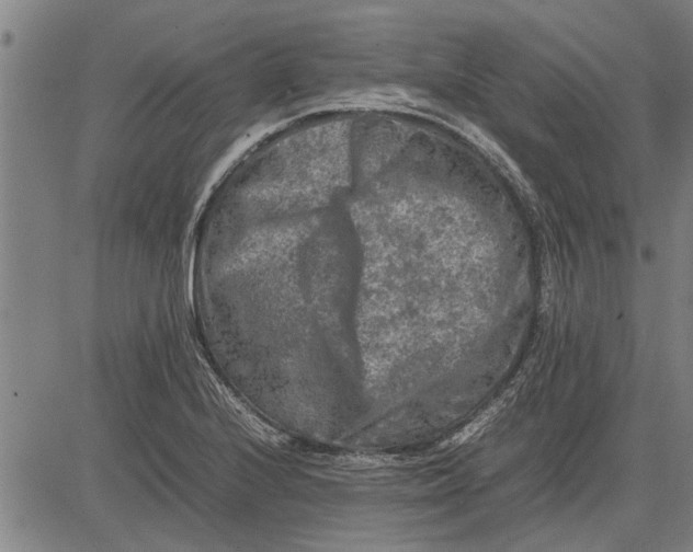 X0000081451224200702021734