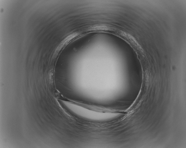 X0000081451225200702021734