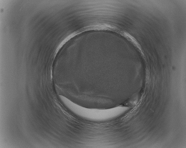 X0000081451226200702021734