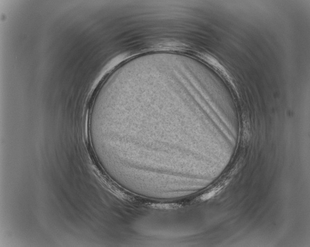 X0000081451227200702021734