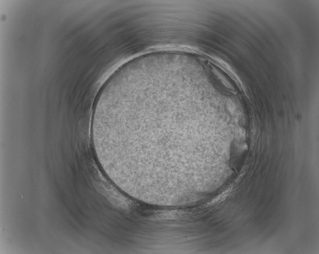 X0000081451228200702021734