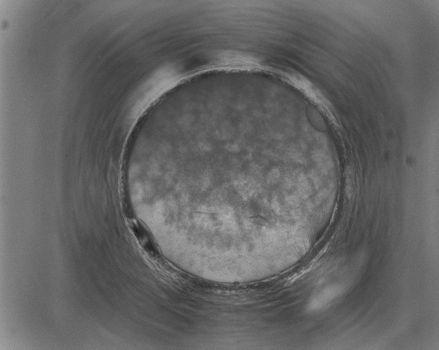 X0000081451229200702021734