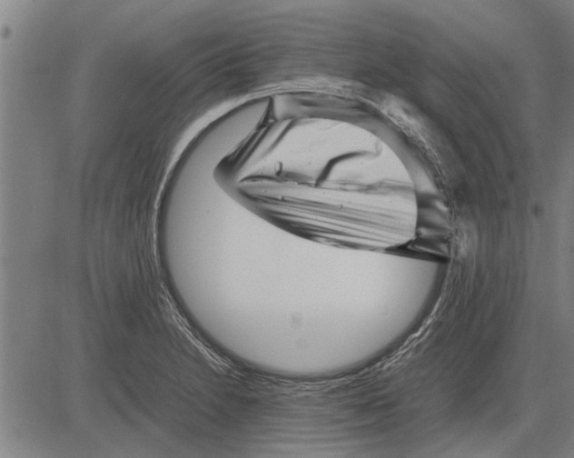 X0000081451230200702021734