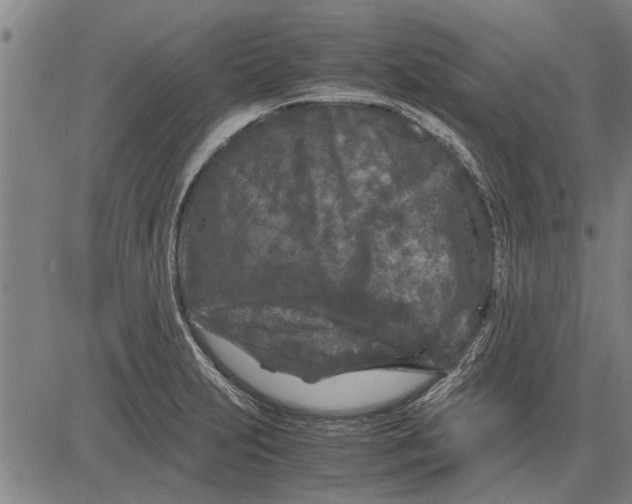 X0000081451231200702021734