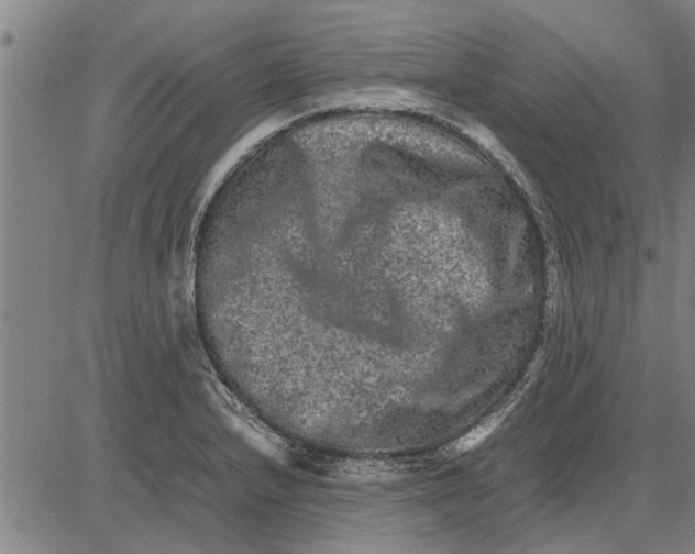 X0000081451232200702021734