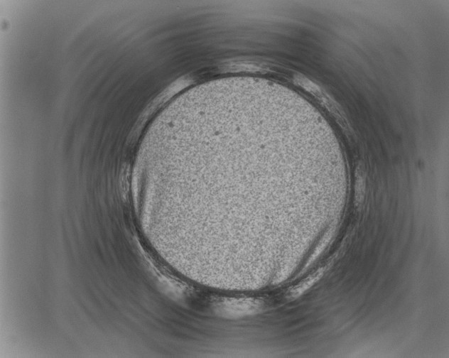 X0000081451233200702021734