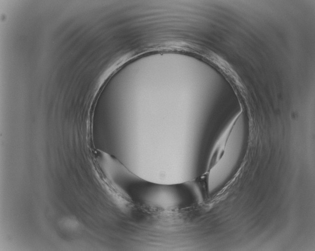 X0000081451234200702021734