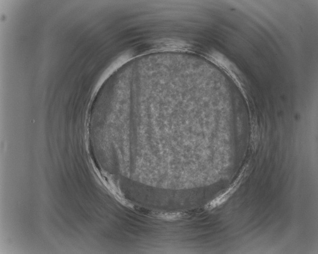 X0000081451235200702021734