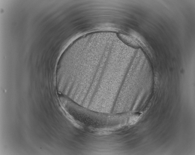 X0000081451236200702021734