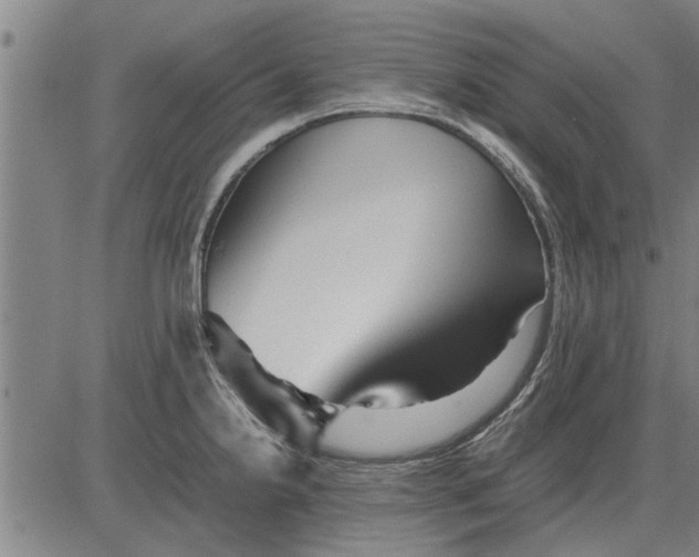 X0000081451238200702021734