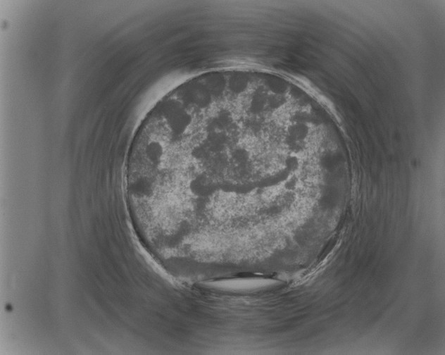 X0000081451239200702021734