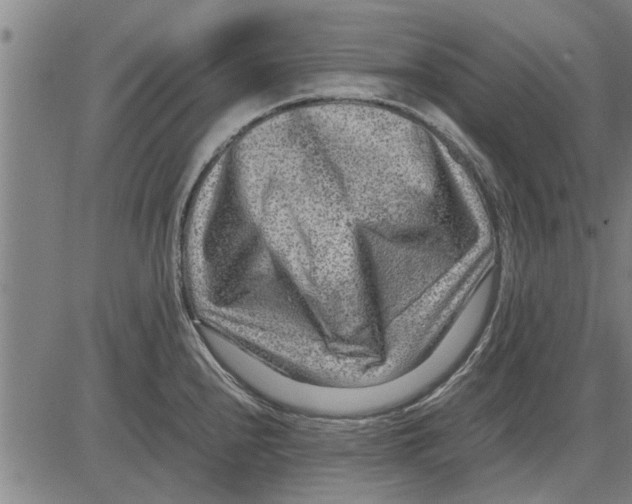 X0000081451240200702021734