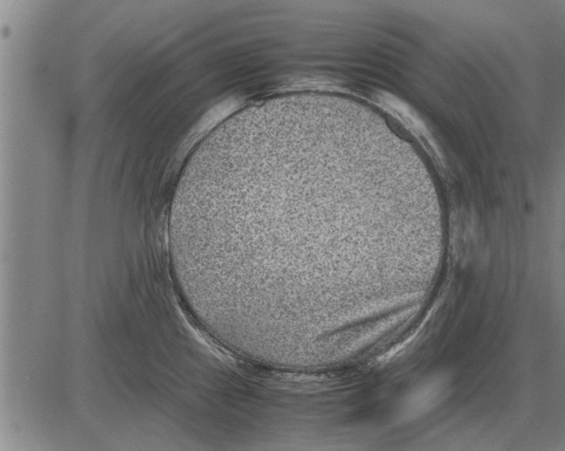 X0000081451241200702021734