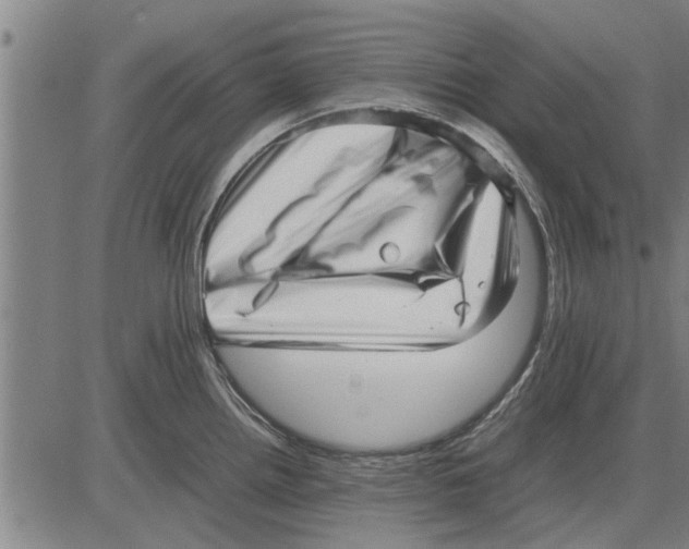 X0000081451242200702021734