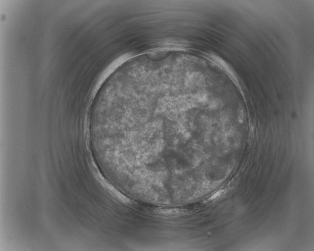 X0000081451243200702021734