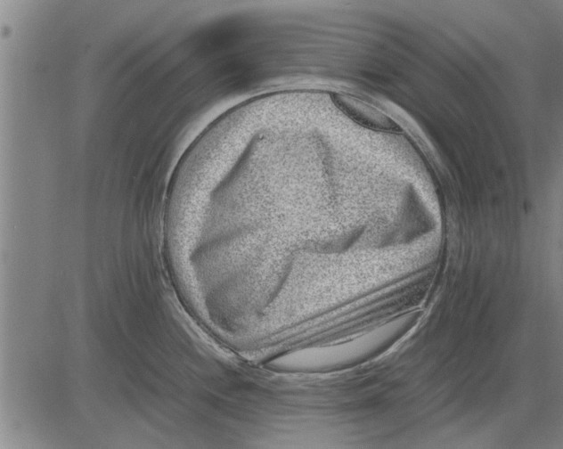 X0000081451244200702021734