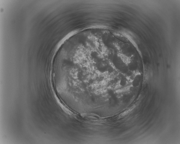 X0000081451245200702021734