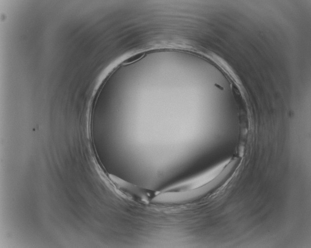 X0000081451246200702021734