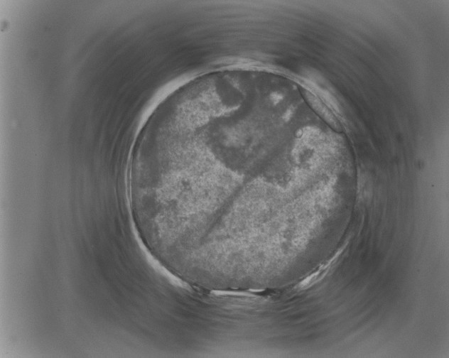 X0000081451247200702021734