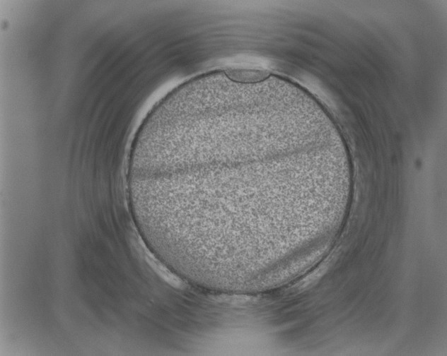 X0000081451248200702021734