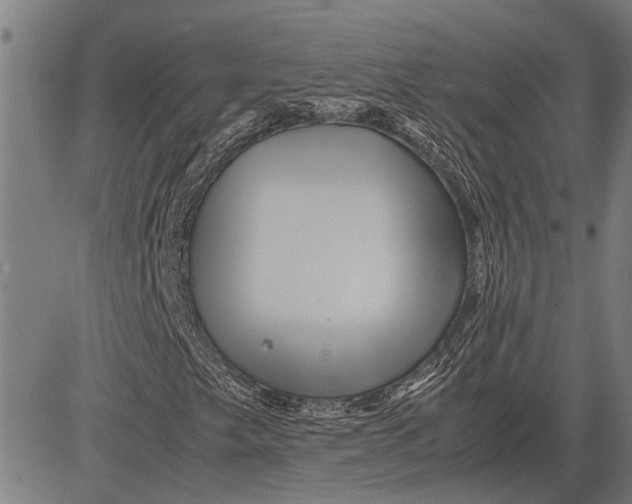 X0000081451249200702021733