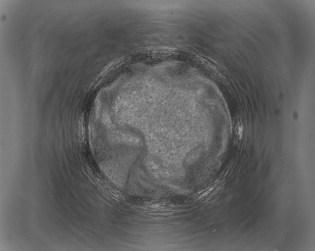 X0000081451252200702021733