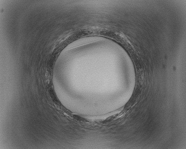 X0000081451253200702021733