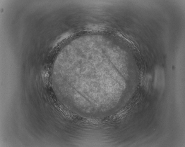 X0000081451254200702021733