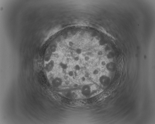 X0000081451255200702021733