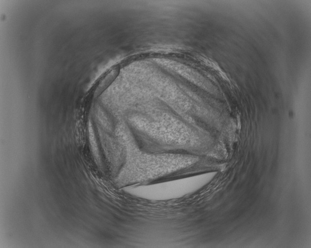 X0000081451256200702021733