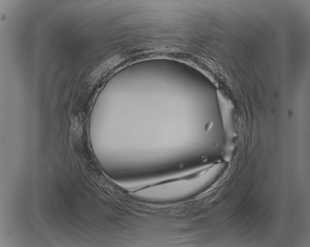 X0000081451257200702021733