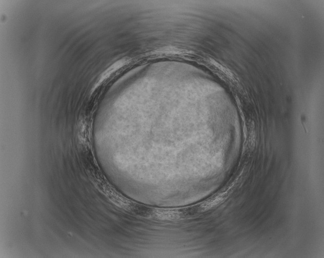 X0000081451258200702021733