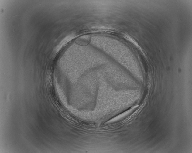 X0000081451259200702021733