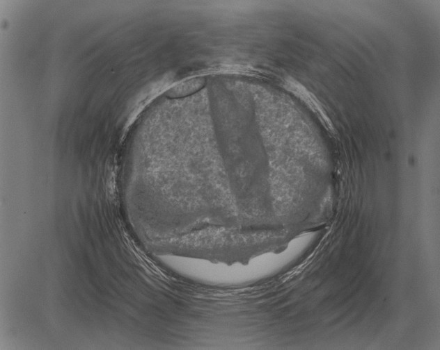 X0000081451260200702021733