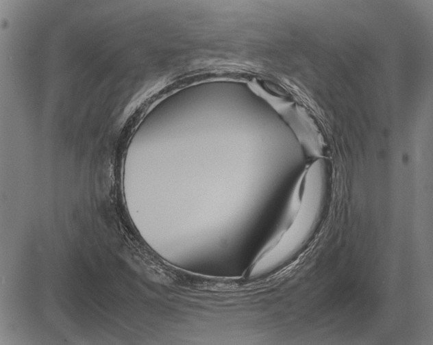 X0000081451261200702021733