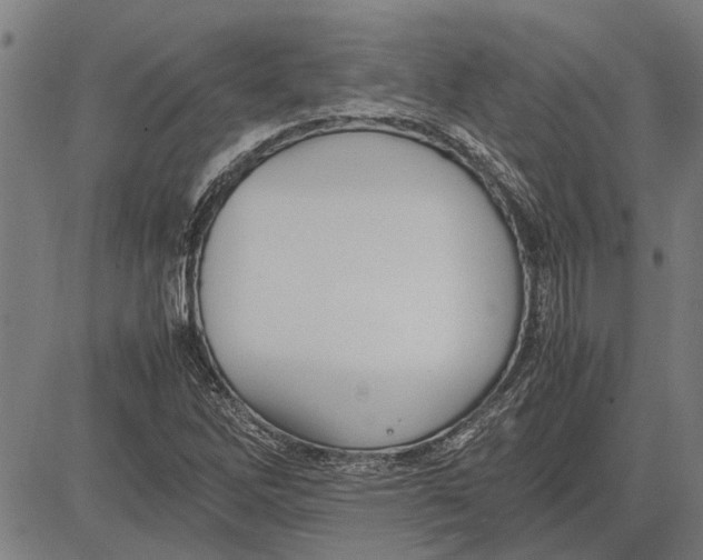 X0000081451262200702021733