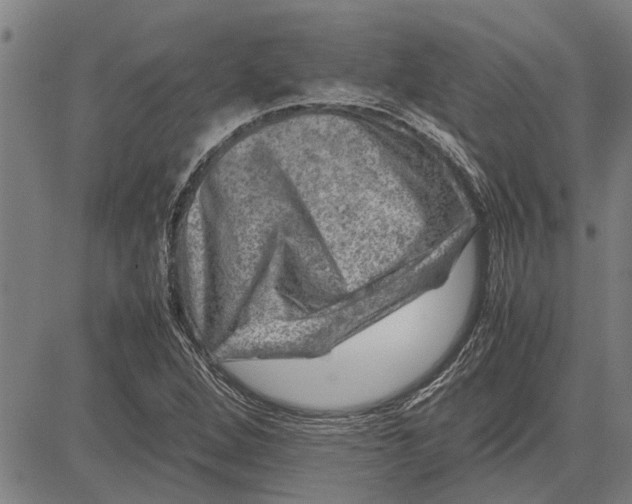 X0000081451264200702021733